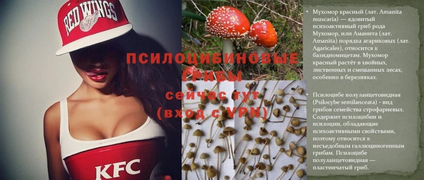 apvp Лагань
