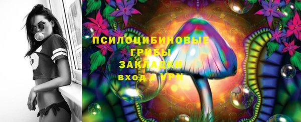 apvp Лагань